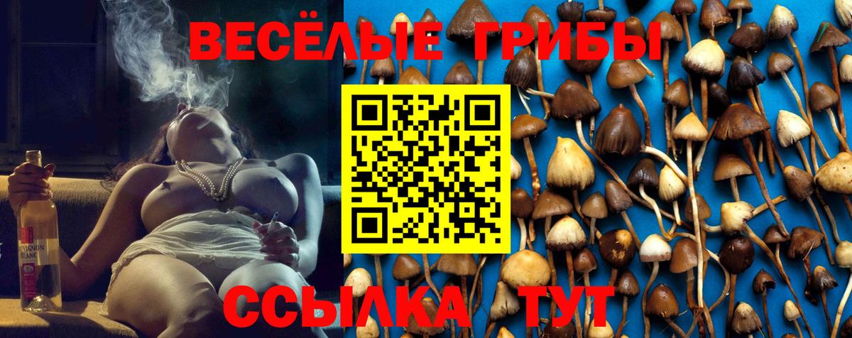 Псилоцибиновые грибы Psilocybe Алатырь