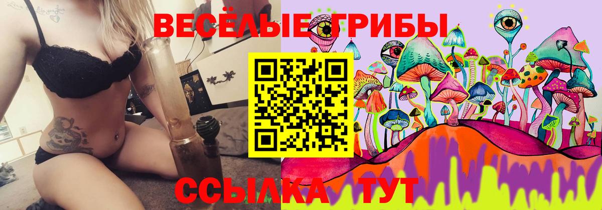 Галлюциногенные грибы GOLDEN TEACHER  Галлюциногенные грибы Psilocybe  Алатырь  Вход с VPN 